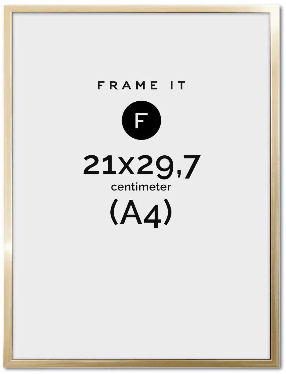 Frame Nielsen Accent Gold A4